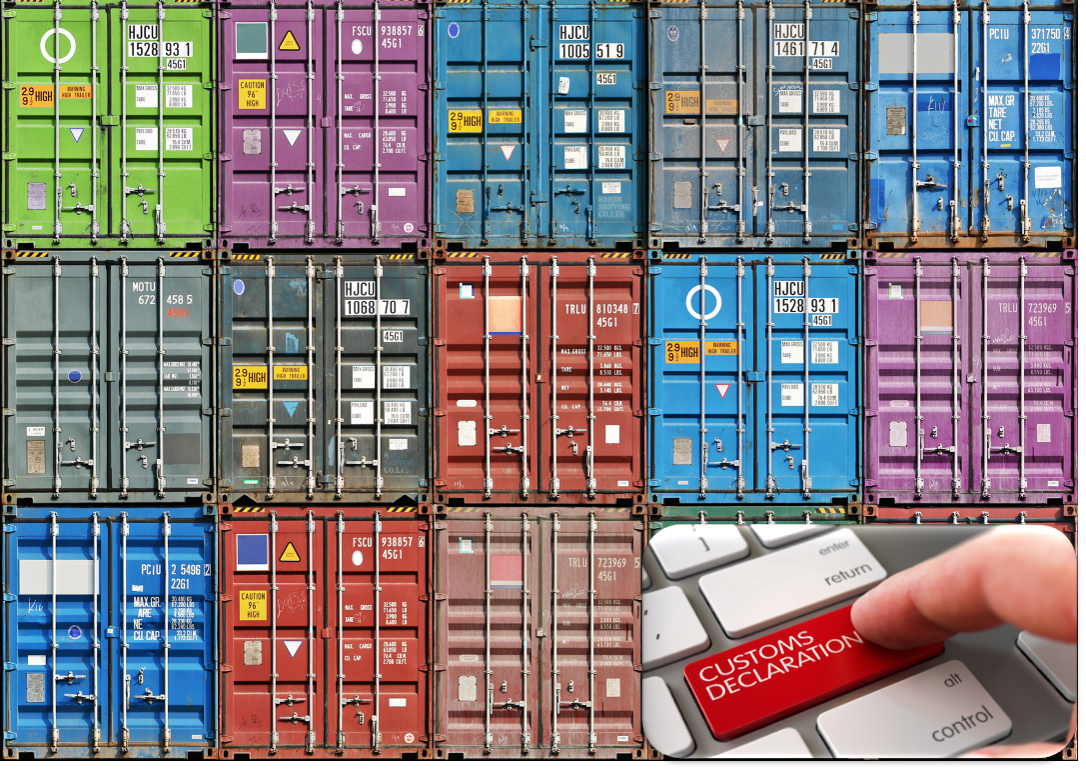 Digitalizzazione sistema doganale di importazione