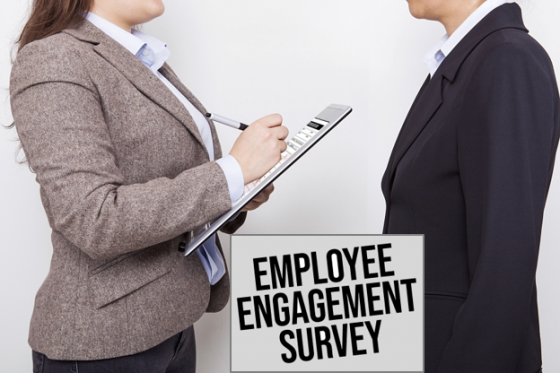 Engagement_Survey_Bacciardi