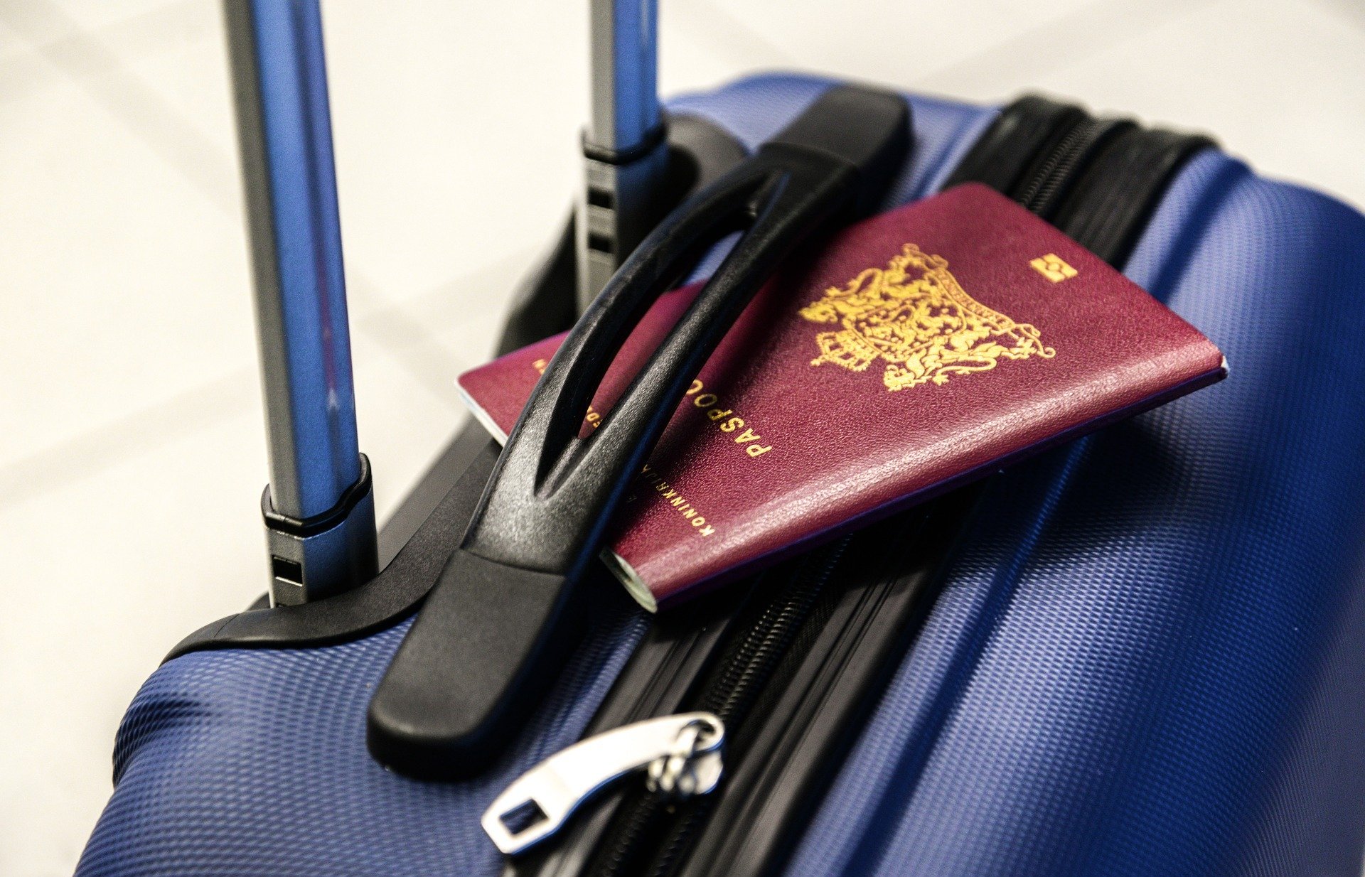 Global-mobility-bacciardi-eu